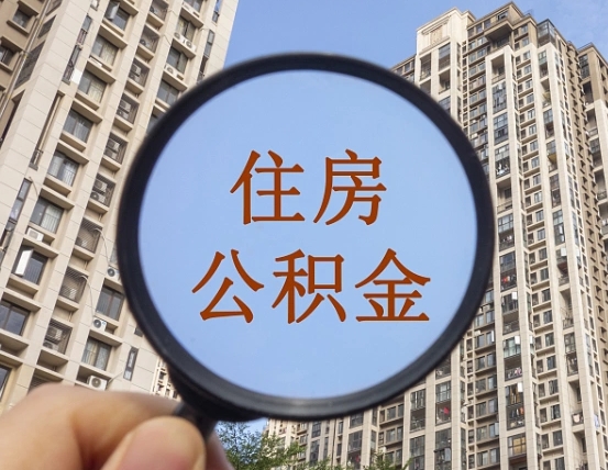 大理退休后查不到公积金明细了吗（退休后公积金查询不到原因）